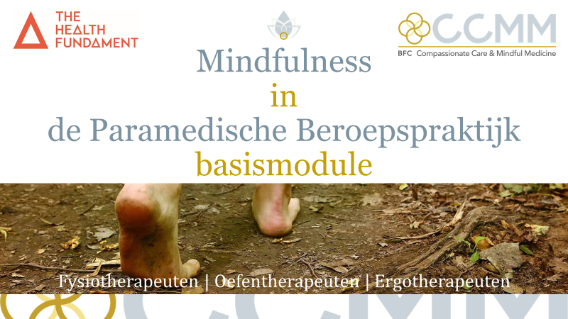 Mindfulness In De Paramedische Beroepspraktijk Basismodule Bfc